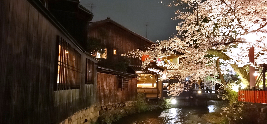 浴衣で歩く京都の祇園白川