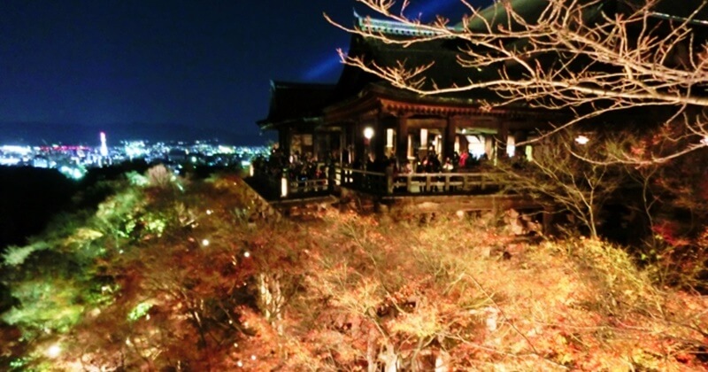 京都で紅葉を楽しむのなら夜と昼どっちがいい？
