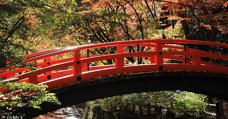 京都の紅葉を着物レンタルで更に楽しむ