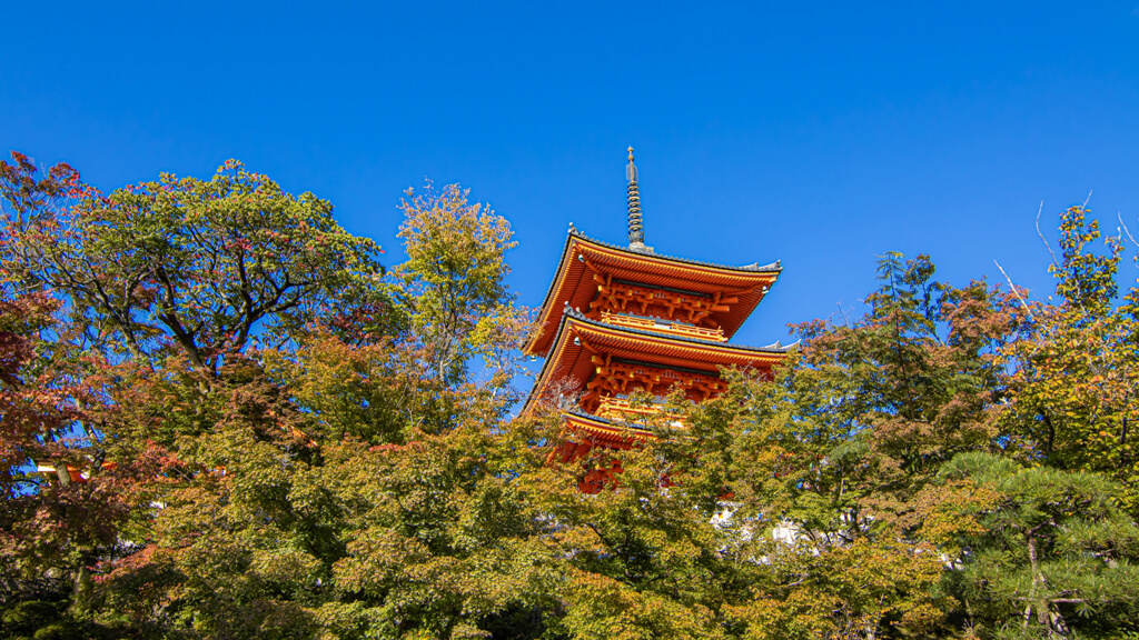 京都の修学旅行で着物レンタル！人数でおすすめプランが変わる？