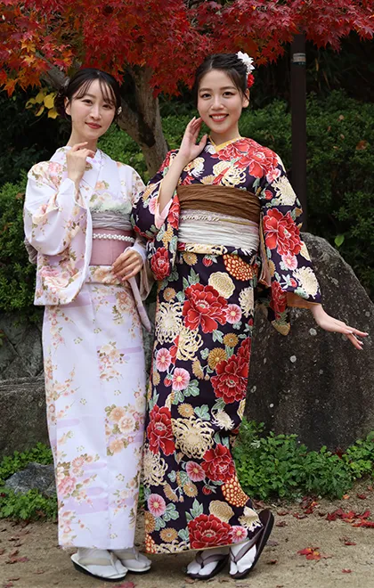 ハイグレード着物プラン画像