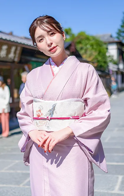 訪問着プラン画像