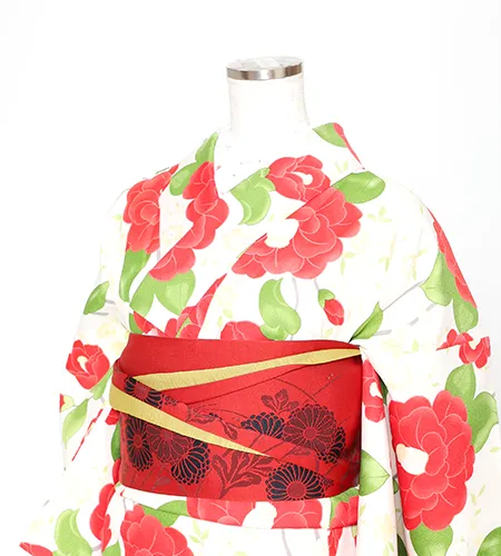 京都観光用着物レンタル専門店京あるきのハイグレード着物プランのお着物一例