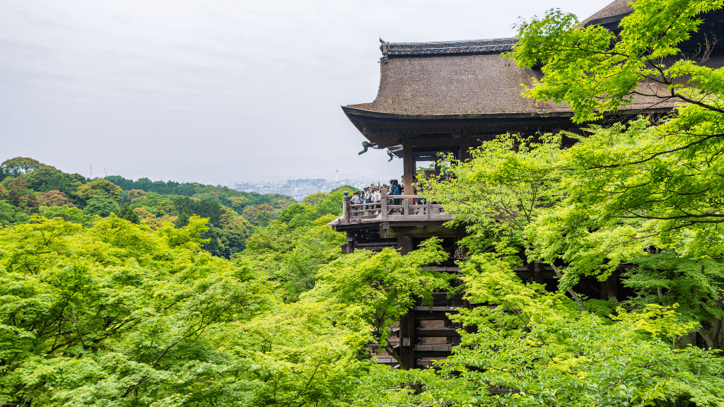 親子が着物レンタルして行きたい清水寺